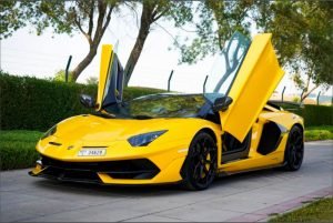 Rent Lamborghini Aventador Roadster 2019 In Dubai
